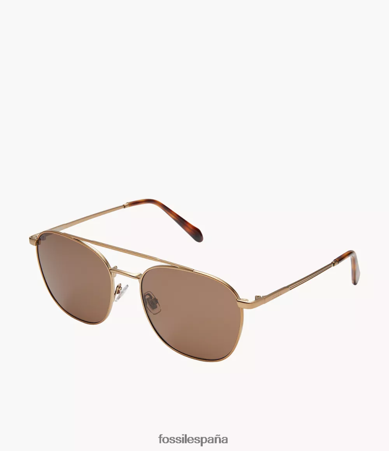 accesorio 804XJ42050 marrón hombres Fossil gafas de sol redondas chandler