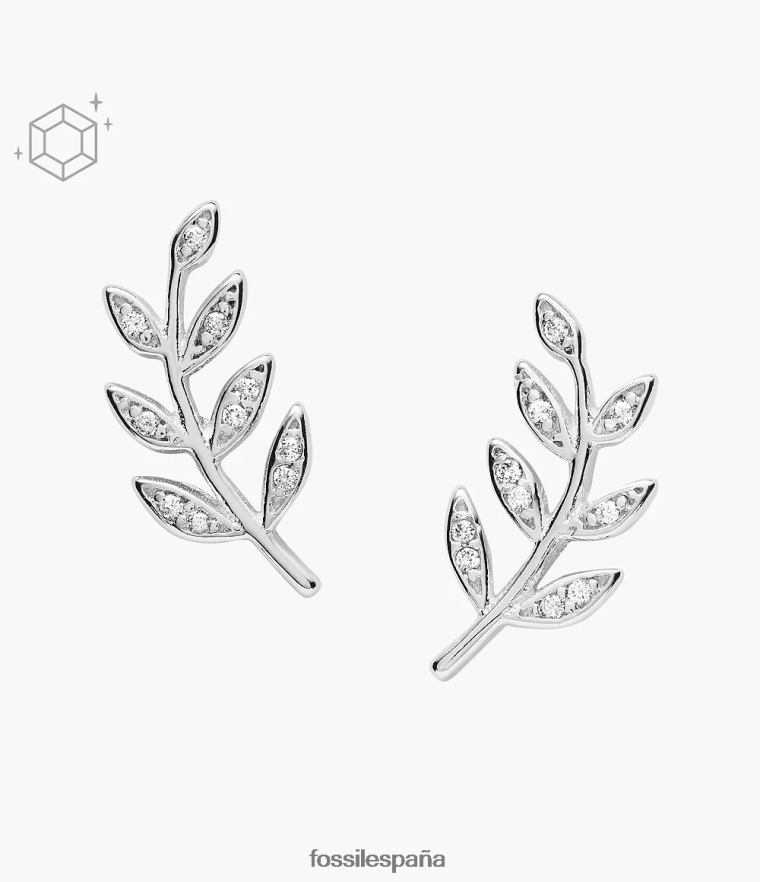 joyas 804XJ41052 plata mujer Fossil sementales de ley con rama de olivo elliott