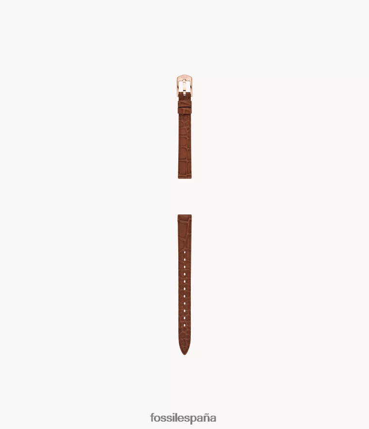 accesorio 804XJ4123 cocodrilo marrón mujer Fossil Correa de cuero de cuero de 12 mm