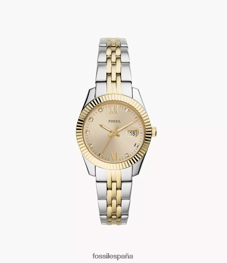 mirar 804XJ441 Dos tonos mujer Fossil reloj scarlette mini de acero inoxidable con tres manecillas y fecha