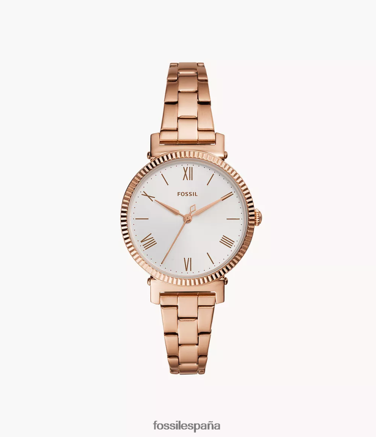 mirar 804XJ461 tono oro rosa mujer Fossil reloj margarita de tres manecillas de acero inoxidable